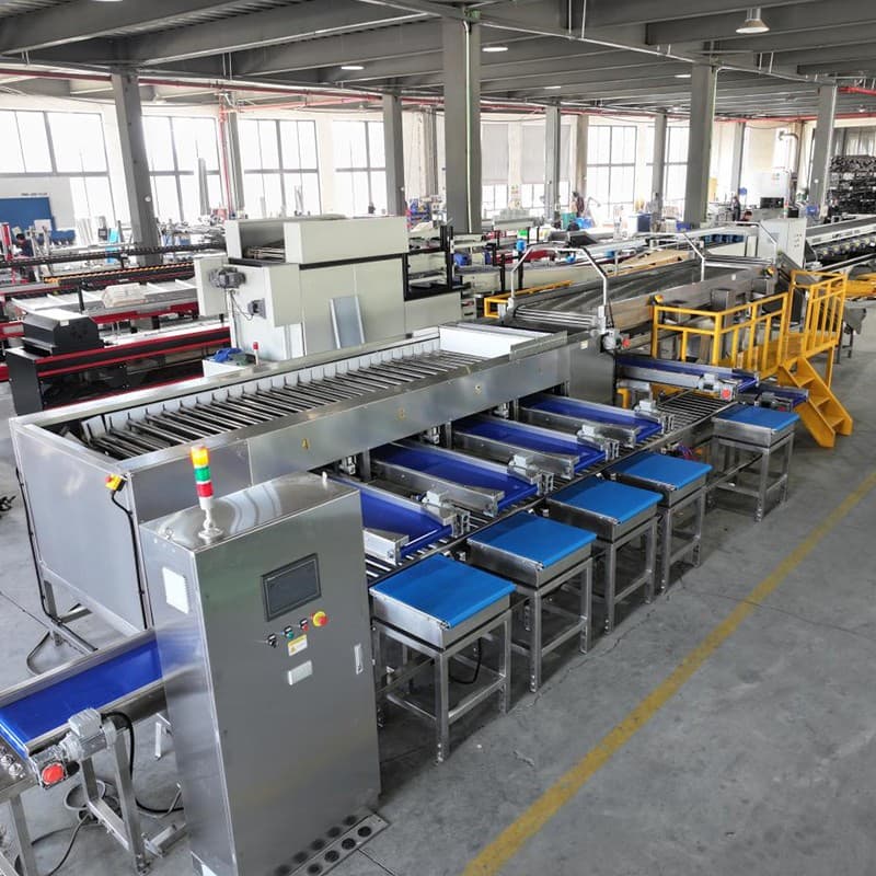 images/1741317535909jujubes grading line.jpg